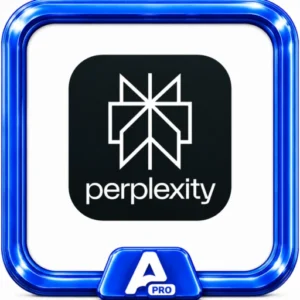 Perplexity